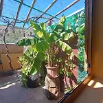 La Almendra *